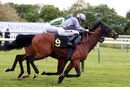 Race 2 - Western Alliance (16)