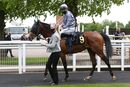 Race 2 - Western Alliance (19)