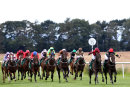 Race 2 - Whatsthemessage (2)