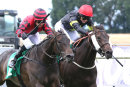 Race 2 - Whatsthemessage (4)