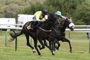 Race 2 - Whistledown (4)
