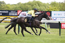 Race 2 - Whistledown (8)