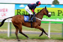 Race 2 - Youracert (2)