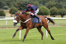 Race 2 - Youracert (6)