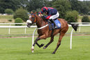 Race 2 - Youracert (7)