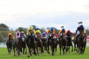 Race 2 - Zabeel Prince (3)