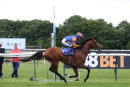 Race 2 - Zain City (8)