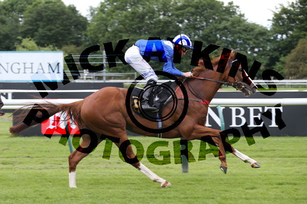 Race 2 - Zuhair (11)