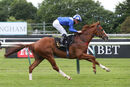 Race 2 - Zuhair (11)