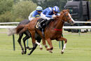 Race 2 - Zuhair (7)