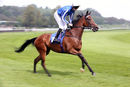 Race 2 (10) - Queen Of Mayfair