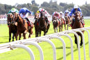 Secret Advisor - Race 2 (10)