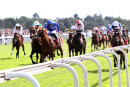 Secret Advisor - Race 2 (12)