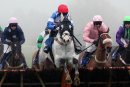 Grey Monk - Race 2 (12)