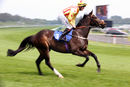 Race 2 (13) - Holy Hymn