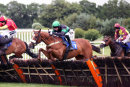 Race 2 (1) - Bygones For Coins