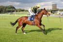Race 2 (1) - Kings View