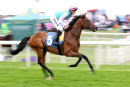 Race 2 (1) - Platitude