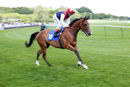 Race 2 (1) - Sweet Celebration