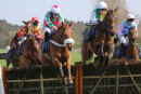 Cake De L'Isle - Race 2 (19)