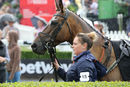 Race 2 (2) - Chef De Troupe