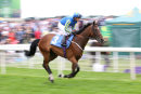 Race 2 (2) - High Jinx