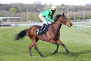 Race 2 (2) - Remedium