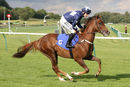 Race 2 (2) - We Owen A Dragon