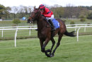Royal Debutante - Race 2 (14)