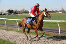 Race 2 (3) - Eurato