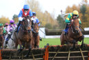 Race 2 (3) - Festival Dawn