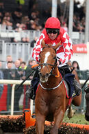 Race 2 (3) - Pied Piper