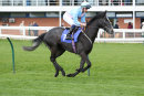 Diable D'Or - Race 2 (43)
