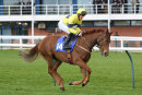 Justanotherbottle - Race 2 (47)