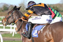 Race 2 (4) - Ballyhome