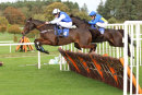 Race 2 (4) - Golden Jet