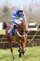Race 2 (4) - Lyndsays Lad