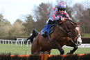 Race 2 (4) - Tempuran