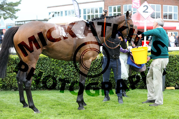 Race 2 (6) - Arcadian Sea