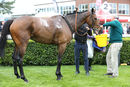 Race 2 (6) - Arcadian Sea