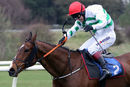 Race 2 (6) - Bubbles Of Gold