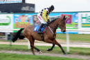 Race 2 (6) - Soldier Of Love