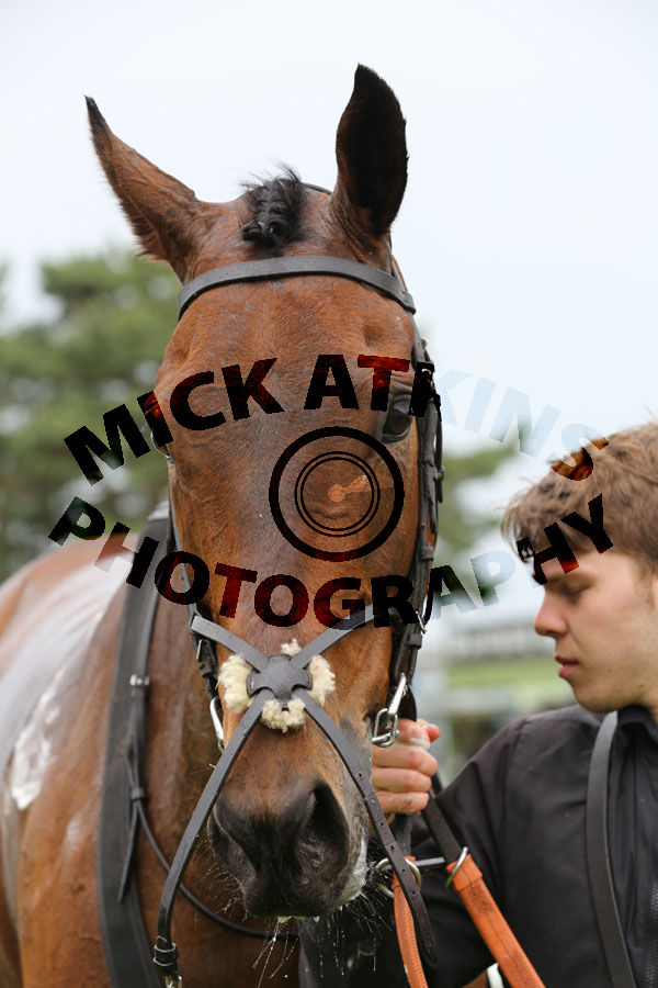 Race 2 (7) - Arcadian Sea