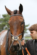 Race 2 (7) - Arcadian Sea