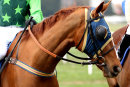 Exit To Freedom - Race 2 (5)