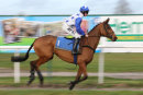 Race 2 (8) - Annie Mc