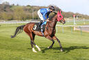 Race 2 (8) - Mawkeb