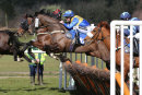 Race 2 (9) - Bentons Lad