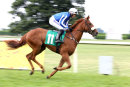 Race 2 (9) - Shaqwar