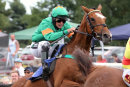Race 3 - Agentleman (2)
